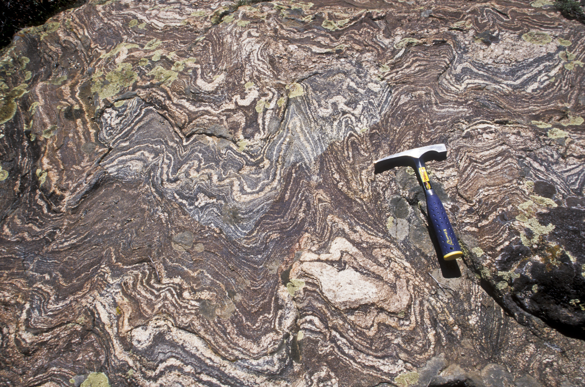 <p>الصخور المتحولة</p>