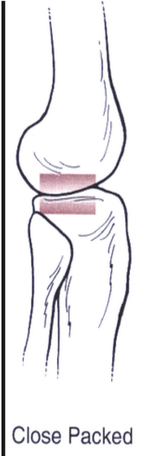 <ul><li><p>Congruent</p></li><li><p>Ligaments & capsule under max tension</p></li><li><p>Joint surface tightly packed</p></li><li><p><em>Cannot be pulled apart with traction</em></p><ul><li><p><strong>Most stable position </strong></p></li></ul></li></ul><p></p>