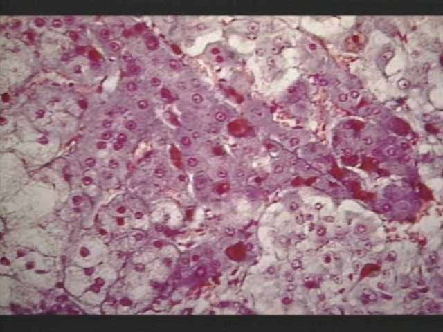 <p>What does this image depict?</p>