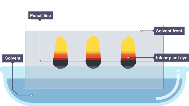<p><span>paper chromatography is used to separate mixtures of soluble substances. these are often coloured substances such as food colourings, inks, dyes or plant pigments.</span></p>