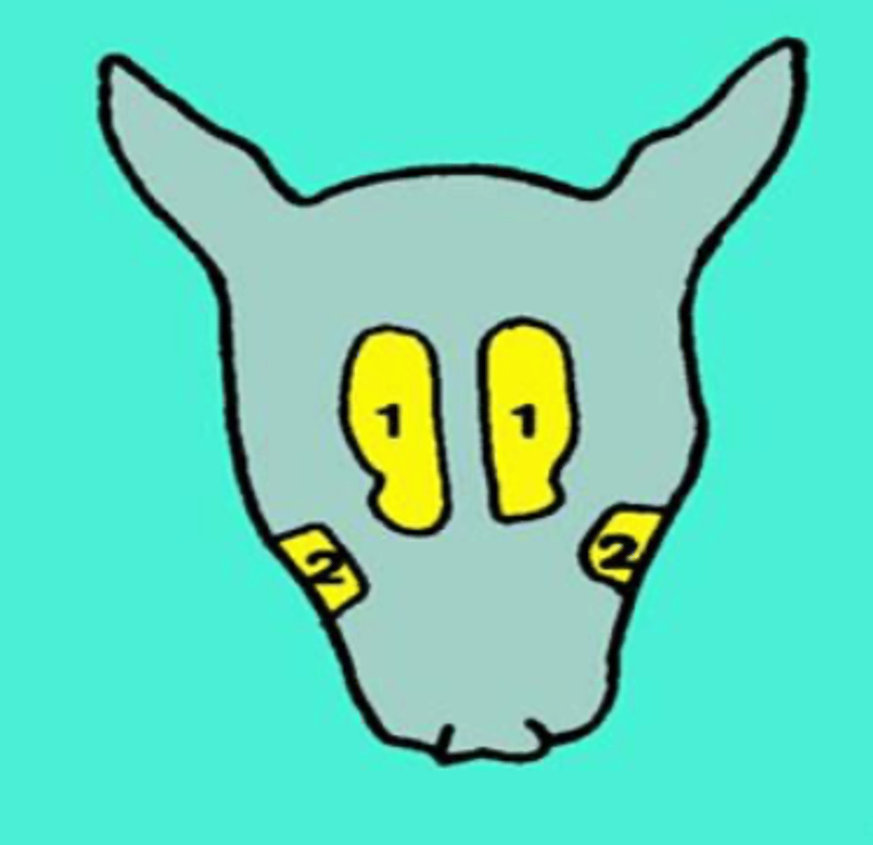 <p>dog- what is 1?</p>