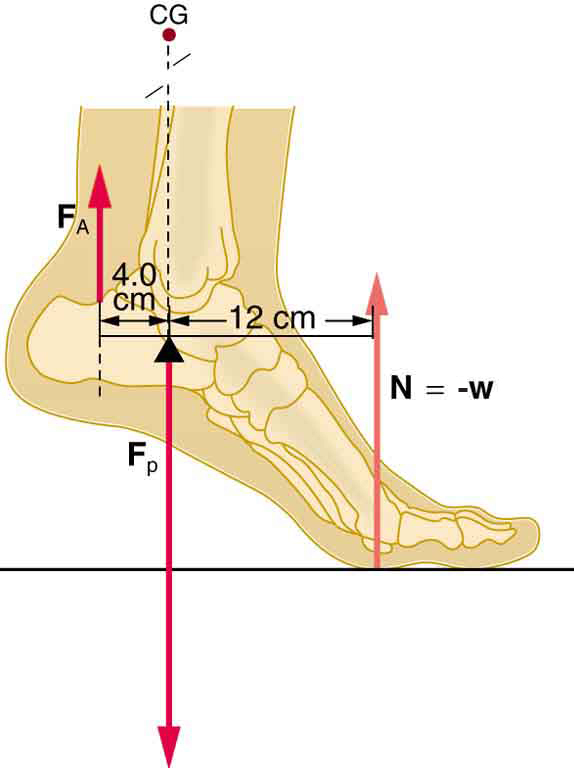 <p>a person pushing a closed-door is applying static torque because the door isn’t rotating despite the force applied. Pedaling a cycle at a constant speed is an example of static torque as there is no acceleration.</p>