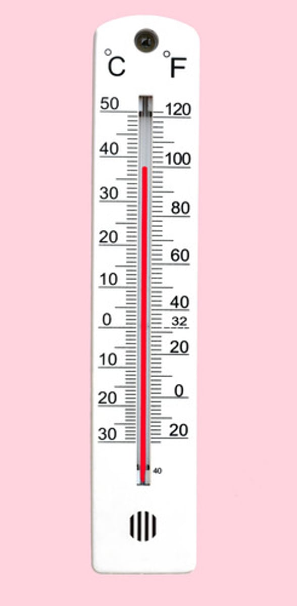 <p>the thermometer</p>