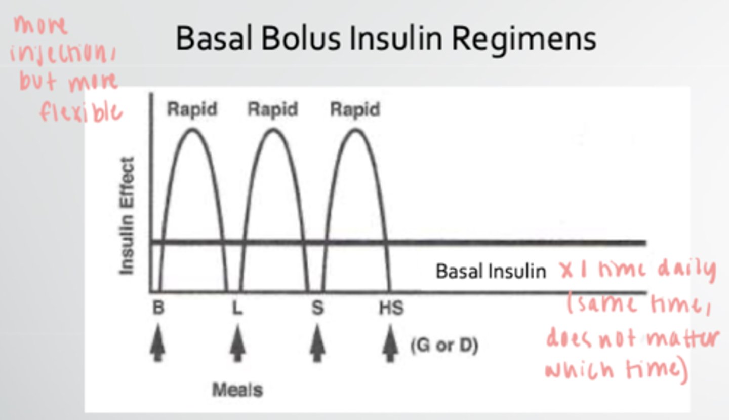 <p>-one time daily basal dose at same time each day (does not matter what time) <br><br>-bolus doses throughout the day</p>