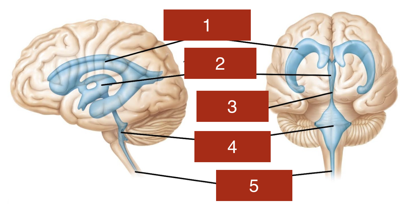 <p>4</p>