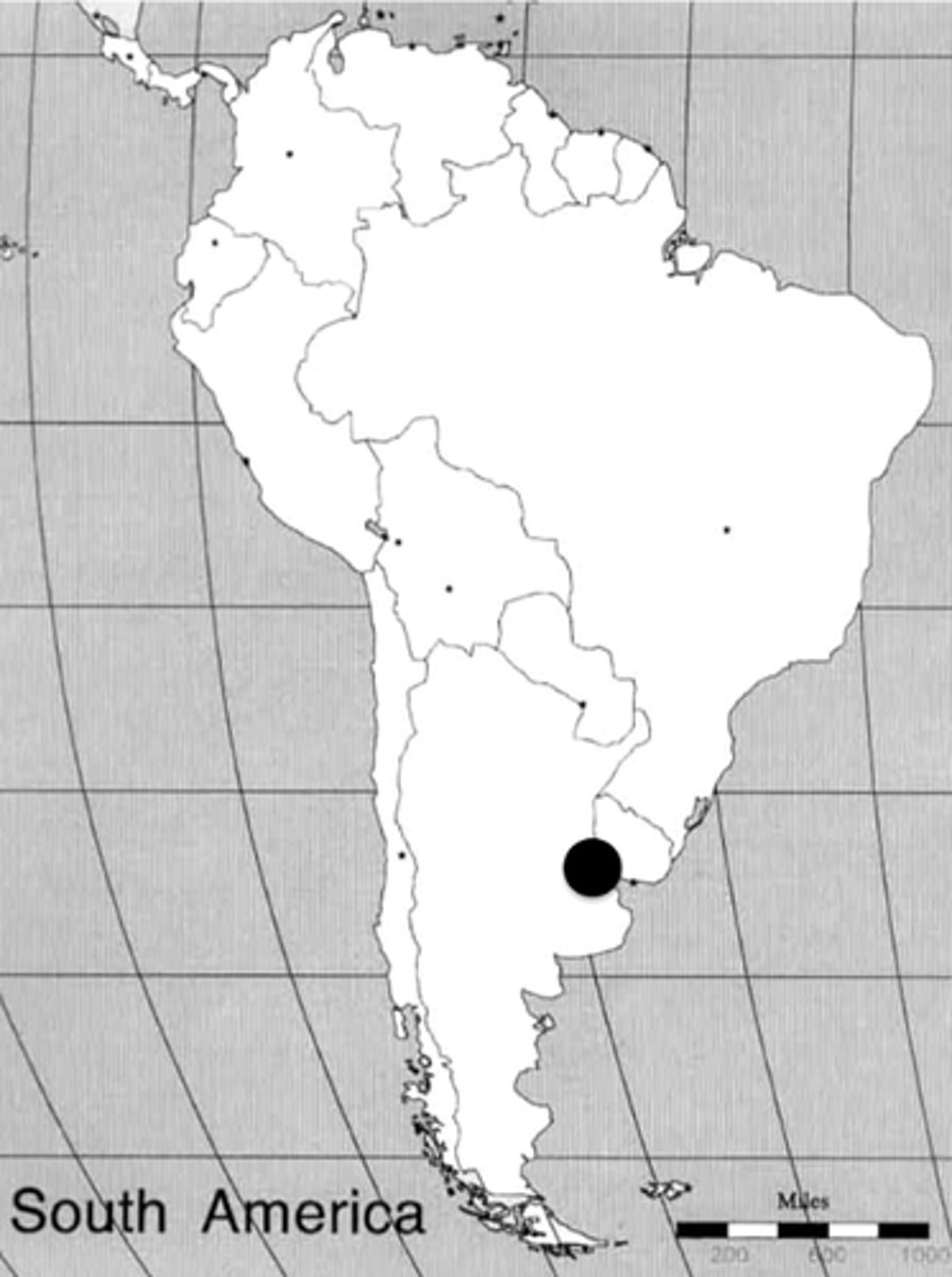 <p>la capital de Argentina done los residentes se llaman "porteños."</p>