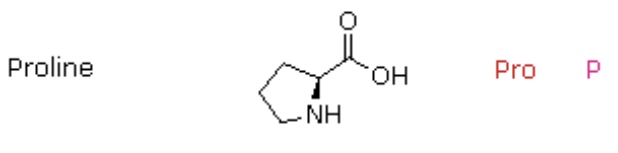 <p>Pro, P</p>