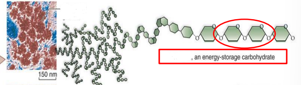 <p>What is this?</p>