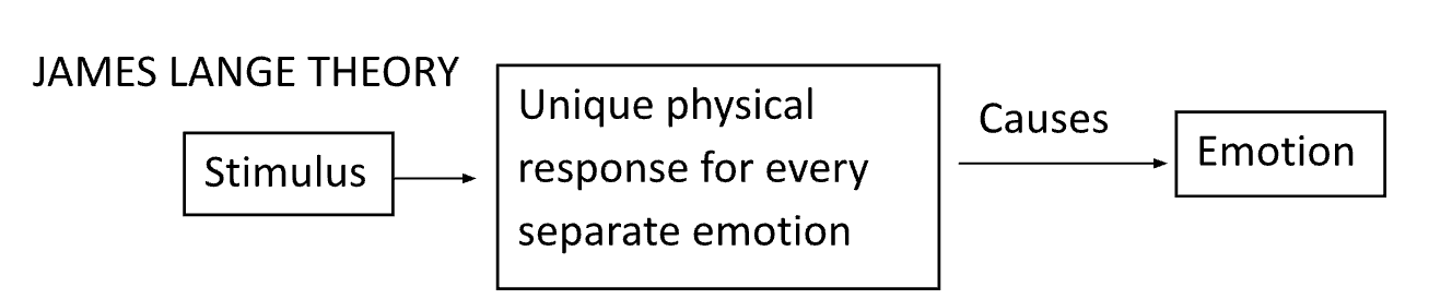 <p>Theory suggesting that emotions result from our interpretations of bodily reactions.</p><p></p>