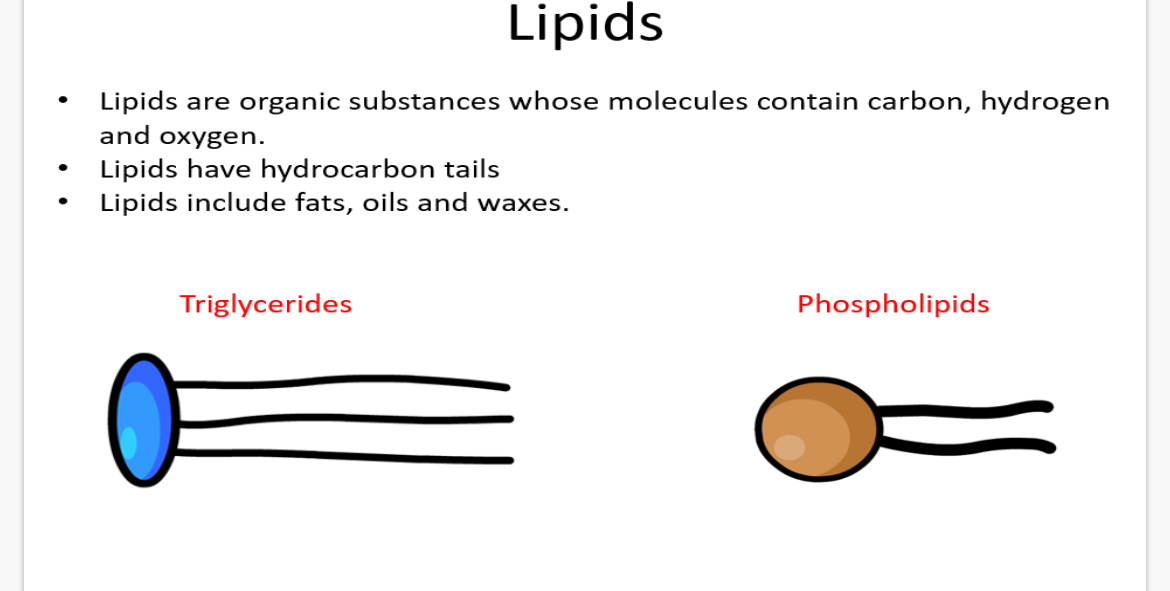 <p>1.Oxygen</p><p>2.hydrocarbon</p><p>3.fats</p>