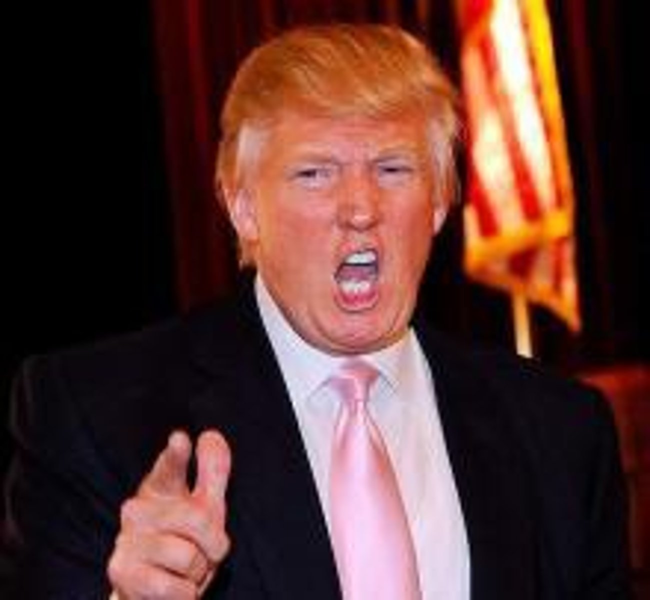 <p>The President</p>