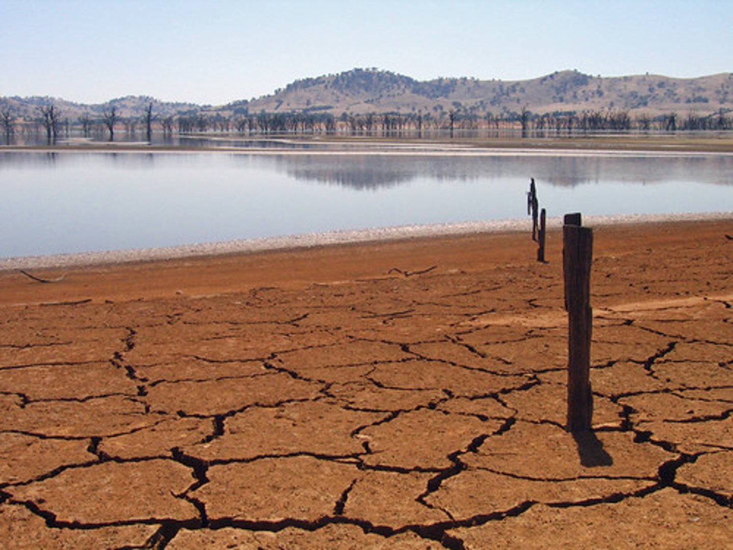 <p>a prolonged period of time with unusually low rainfall; occur when there is not enough rainfall to support people or crops.</p>