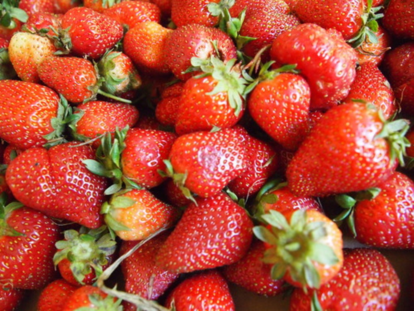 <p>I love strawberries.</p>