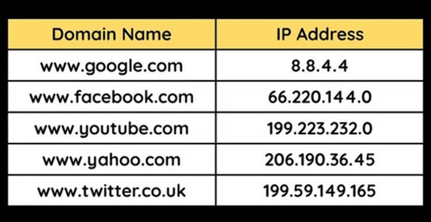 <p>A server that stores a list of domain names and a list of corresponding IP addresses where the website is stored.</p>