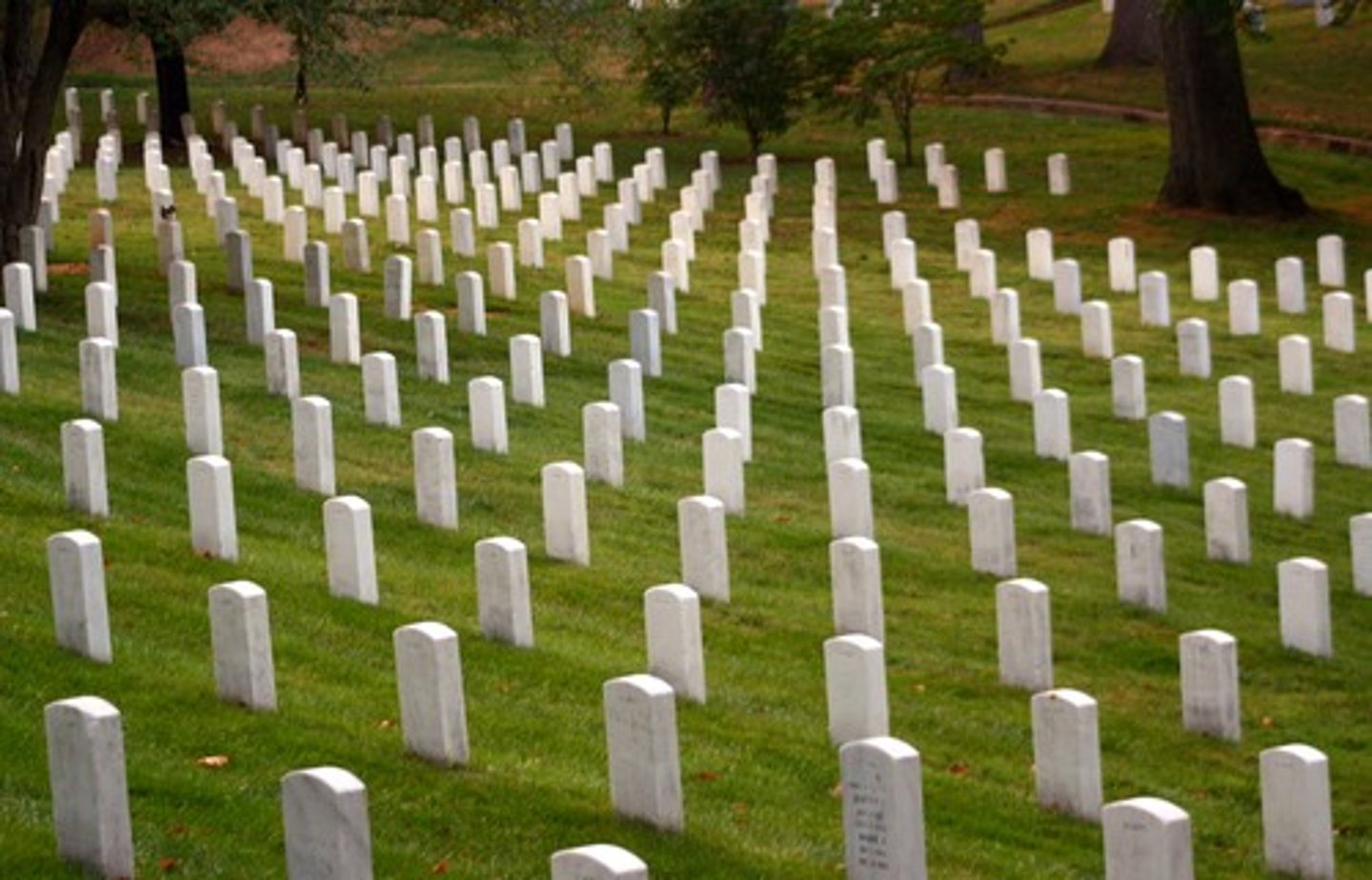<p>cemetery</p>