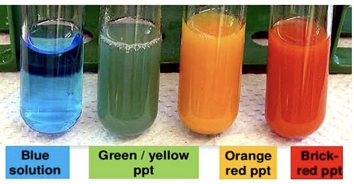 <p>What do the colours of the results represent(Benedict's test)?</p>