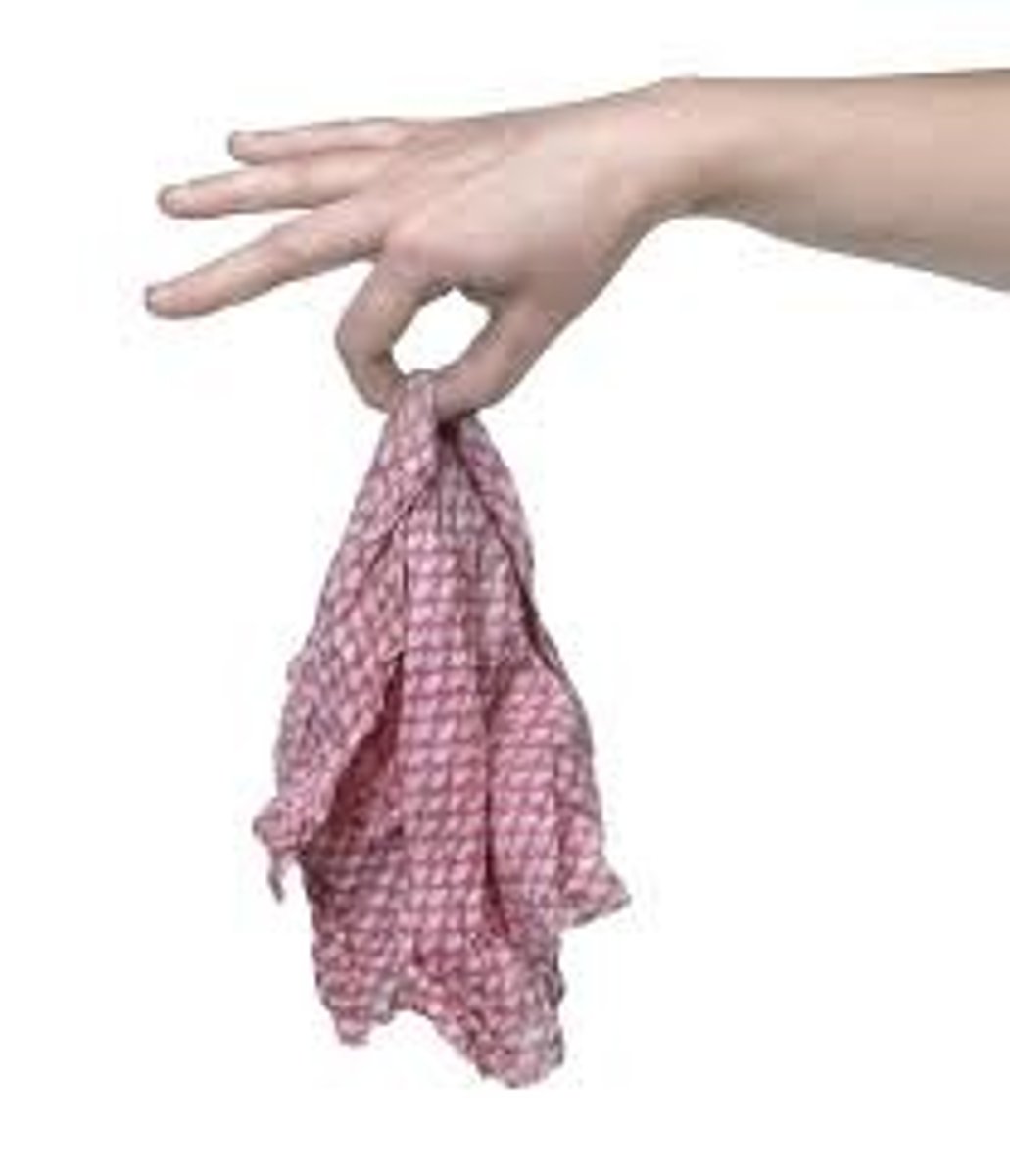 <p>rag / mop</p>