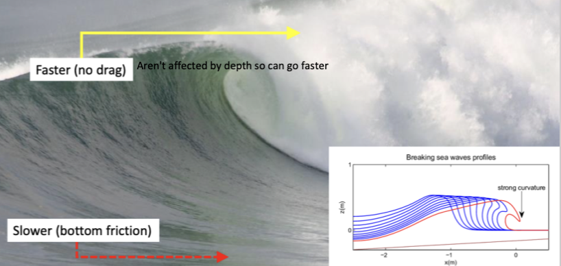 waves feel the ground and interact with sea floor

Waves moving from deep to shallower where they interact with seabed 

\
Waves become higher and steeper as the orbits interact with the bottom, due to the friction of the interaction the sea celerity decreases, the height increases due to friction

Steepness of wave increases which causes it to break     