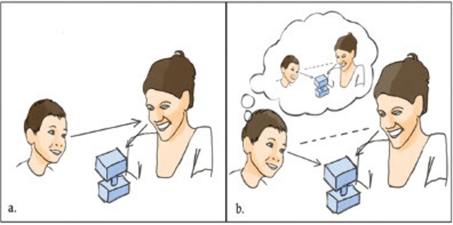 <p>an early social-communicative behavior in which two people share attentional focus on an object or event, for the sole purpose of sharing that interesting object with each other</p><p>*more recent focus on this concept in kids with ASD</p><p>(don't point as much)</p>