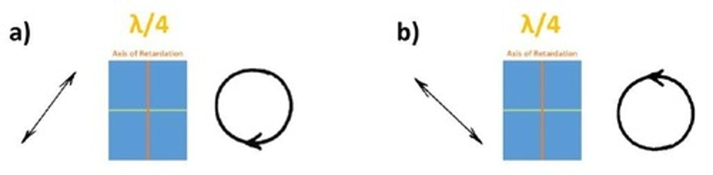<p>False, False</p>