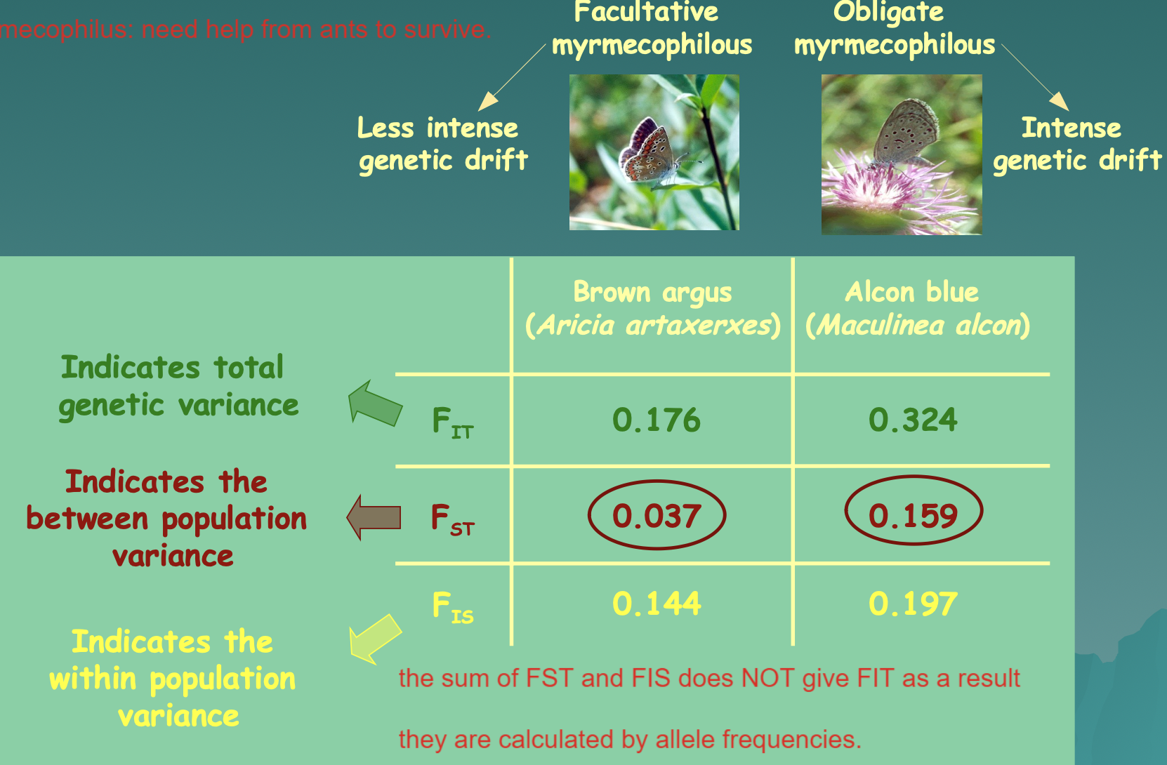 * A way to measure genetic differentiation

The fixation index (Fst) is a measure of population differentiation due to genetic structure. Fst values range from 0 to 1, with higher values indicating greater genetic differentiation between populations.