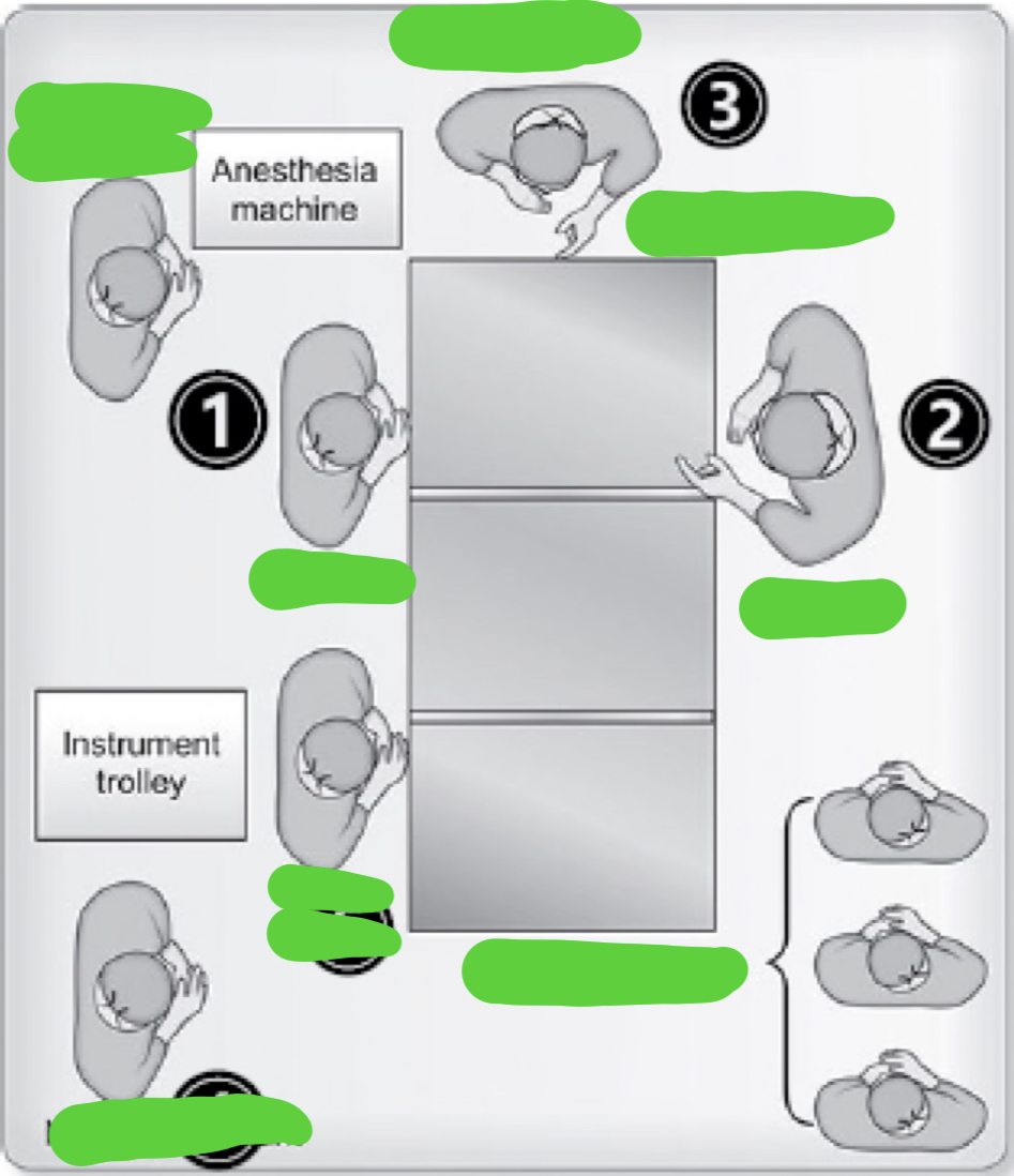 <p>Label the members of the surgical team</p>