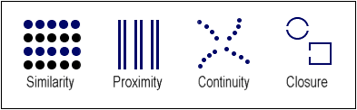 <p>an organized whole. Gestalt psychologists emphasized our tendency to integrate pieces of information into meaningful wholes. (Myers Psychology for AP 2e p. 182)</p>