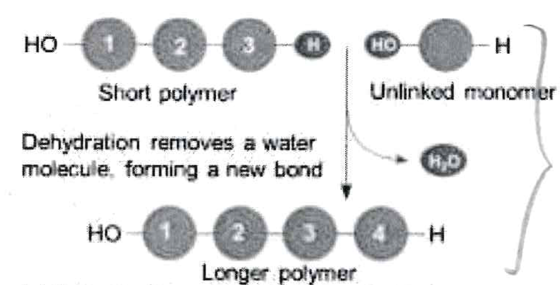 What type of reaction is this?