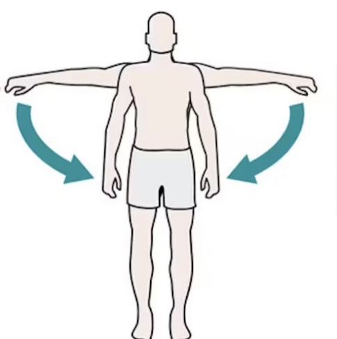 <p>Frontal plane, sagittal axis</p>