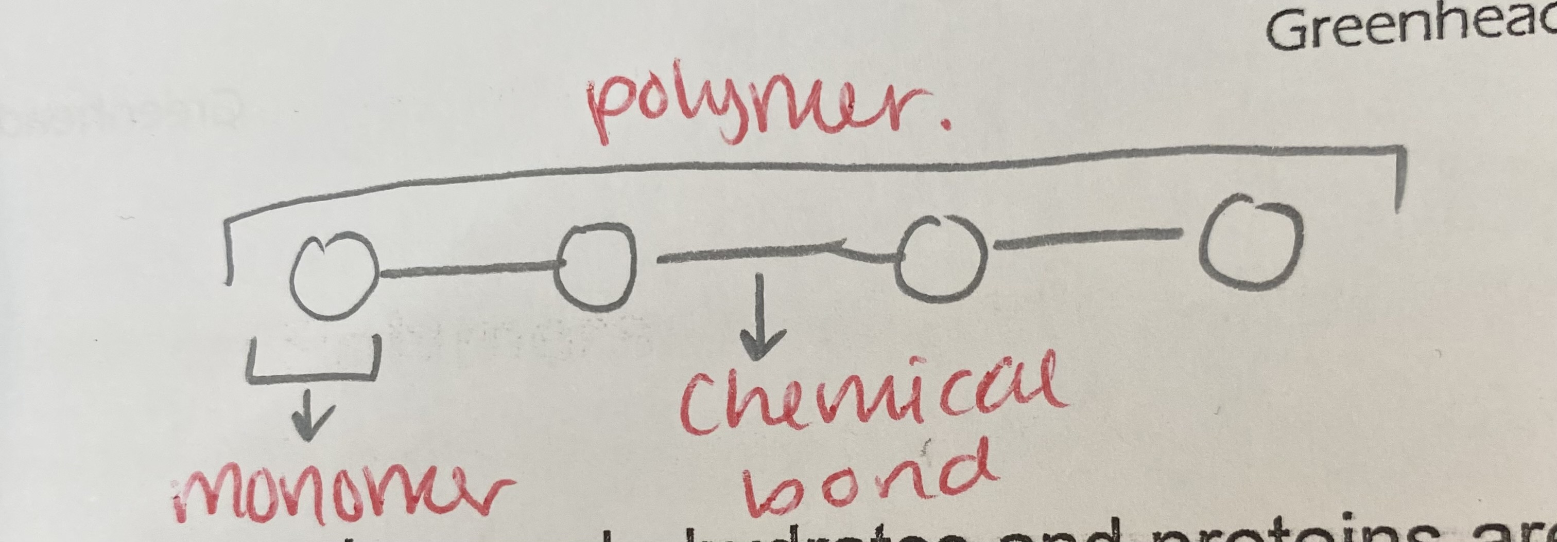 <p>a large chain of many similar monomers joined together</p>