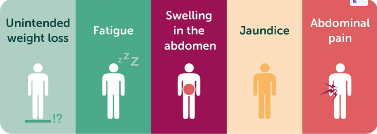 <p>symptoms of liver cancer are not noticable in the early stages</p>