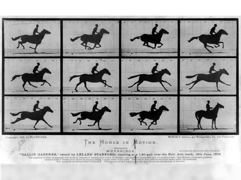 <p><span>What did Eadweard Muybridge's photographs of a horse running prove?</span></p>