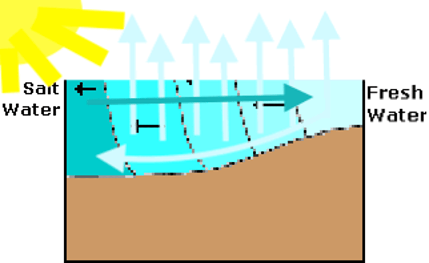 <p>an estuary in which the surface water flows toward the river and the water along the bottom moves out to sea</p>