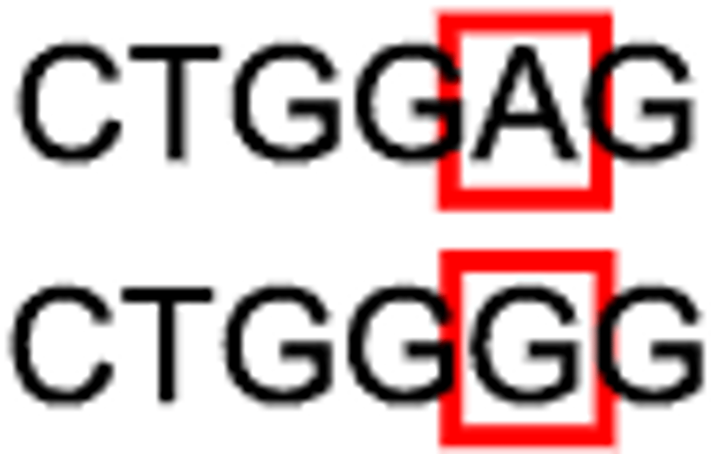 <p>changes in a single nucleotide pair of a gene</p>