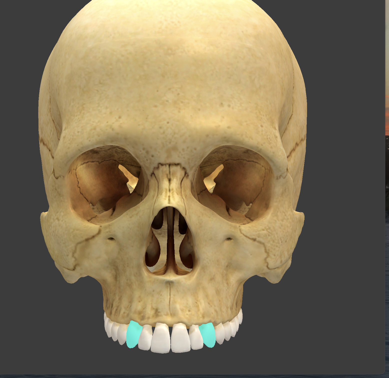 knowt flashcard image