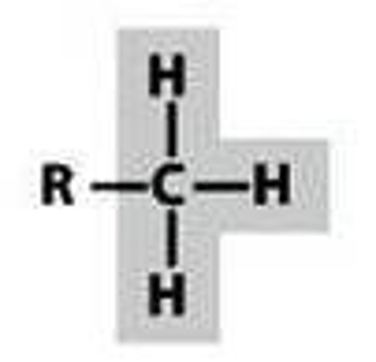 <p>-a carbon with 3 hydrogens attached</p>