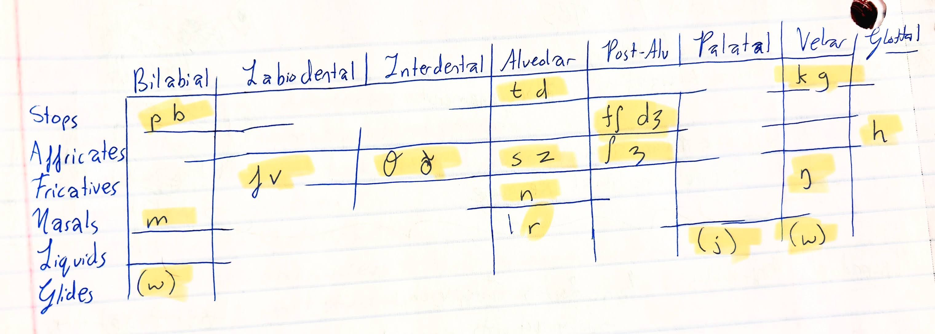 <p>Which natural class defines these sounds?</p>