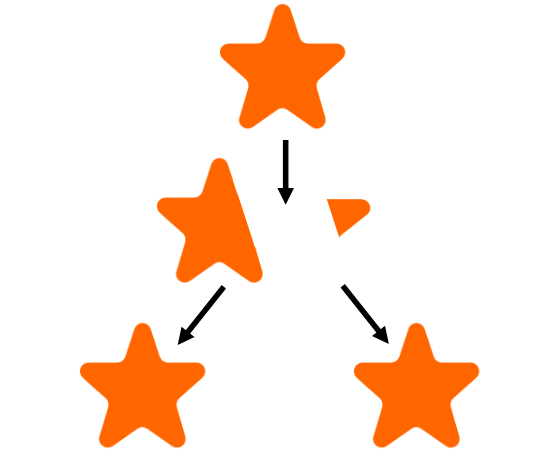 <p>occurs&nbsp; when a piece of the parent body breaks off and both sections regrow into two separate (identical) organisms&nbsp;</p><p>eg sea stars, coral, sponges and many plants&nbsp;</p>