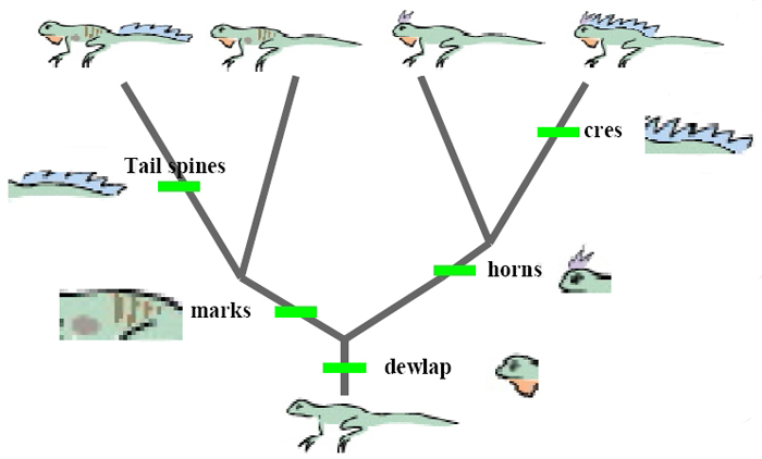 <p>Obtained or developed from a source or origin, especially by reasoning, transformation, or extraction.</p>
