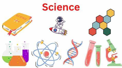 <p>(n) khoa học</p>