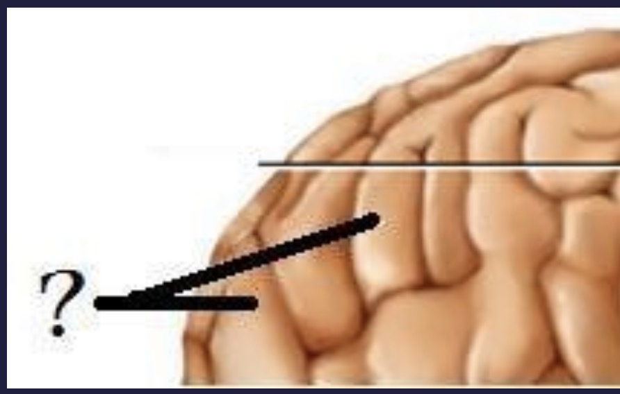 <p>What is this?</p>