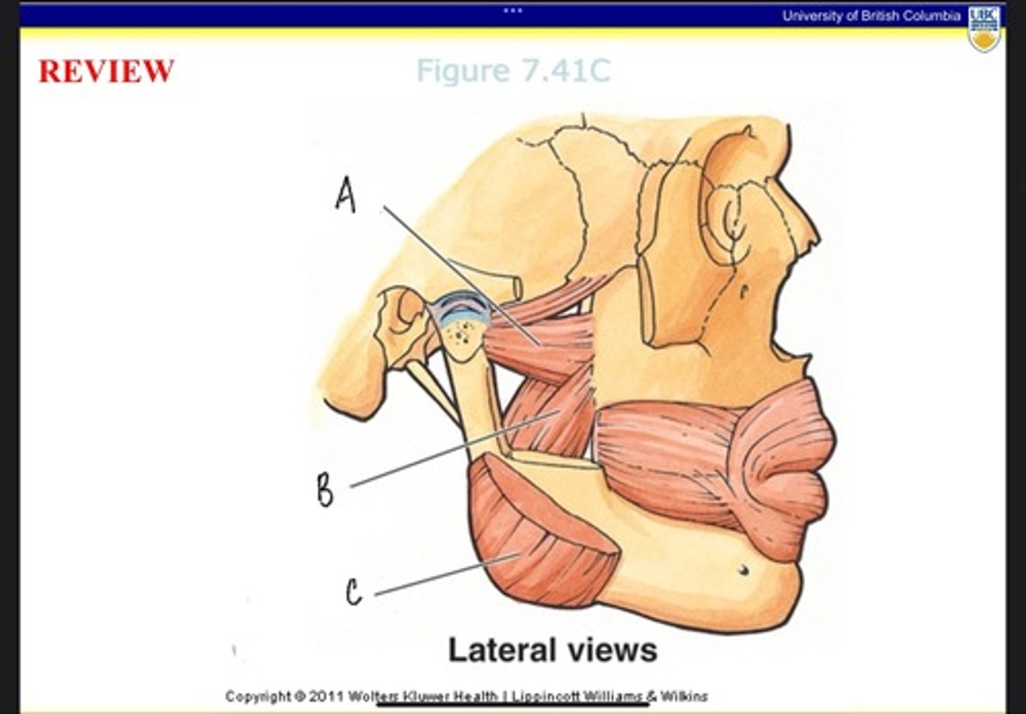 <p>What is A?</p>