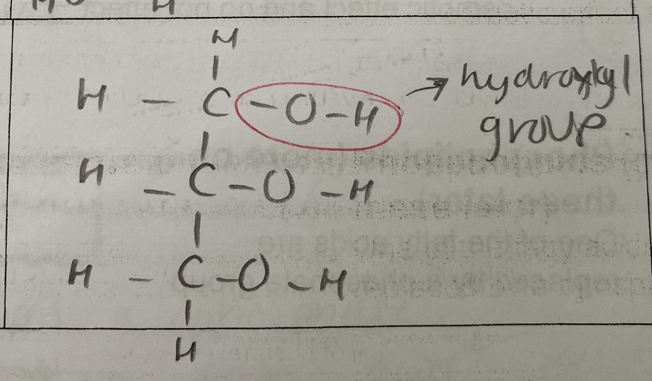 <p>3 hydroxyl groups </p>