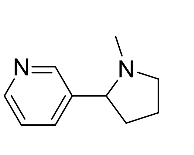 <p>In nicotine, which nitrogen is more basic?</p>
