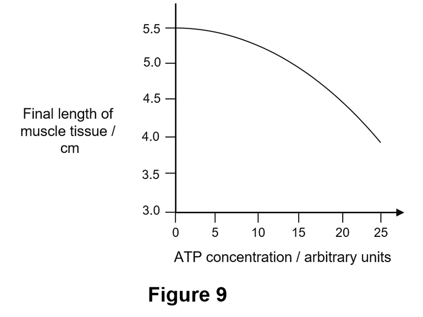 <p>Adenosine triphosphate (ATP) causes the muscle tissue to shorten in length. A scientist conducted a study to see how ATP solution affects a small sample of muscle tissue. Increasing concentrations of ATP solution were added to samples of muscle tissue of the same starting length. After 15 minutes, the final length was recorded. </p><p>i) Explain the results shown in Figure 9. [2 marks] </p><p>ii) The scientist kept the initial length of all muscle tissue samples the same. State two other variables that should be controlled in this experiment. [2 marks] </p><p>iii) The experiment was repeated with increasing concentrations of glucose. The muscle tissue samples were left within each solution for 15 minutes. Compared to ATP, an increasing glucose concentration shortened the length of each muscle tissue sample less. Suggest why. [1 mark]</p>