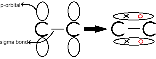 <p>It is formed by the sideways overlap of p-orbitals of carbon atoms. This creates a double bond that locks the two carbon atoms in place and prevents the double bond from rotating. </p>
