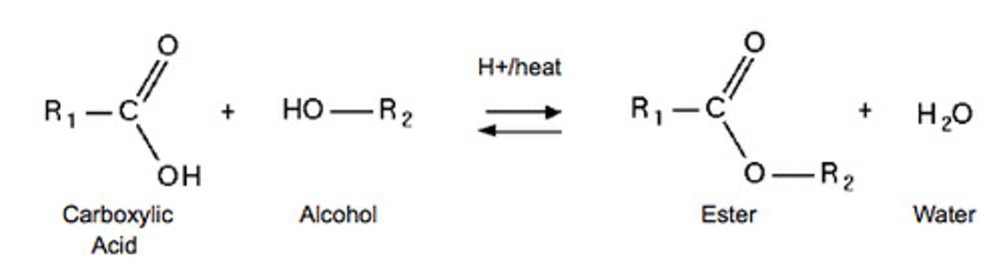 <p>making esters by reacting an acid with an alcohol</p><p>clues: acid and alcohol are reactants, ester is product</p>