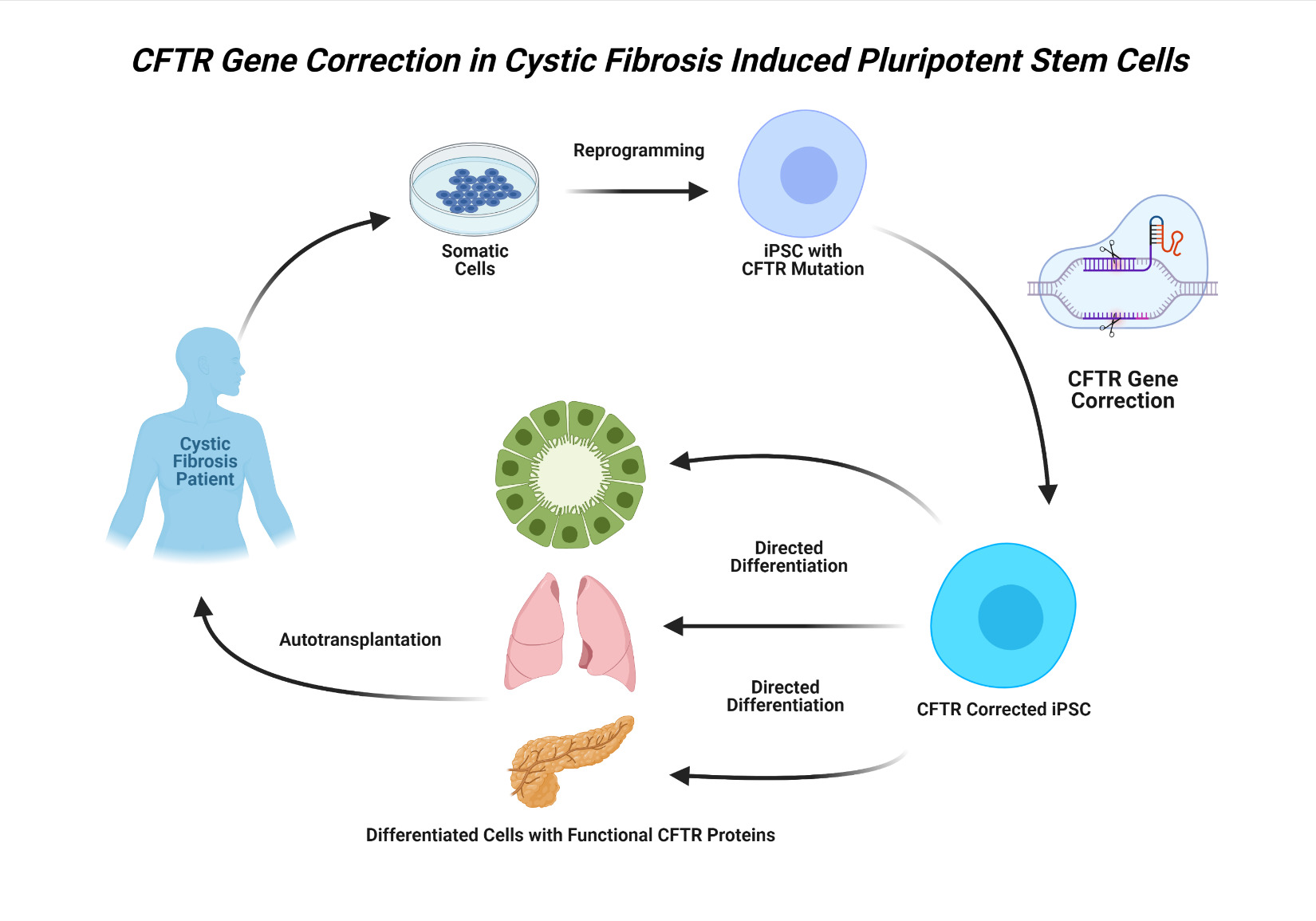 <p>Replacement gene therapy</p>