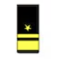 <p>One gold 2-inch stripe below one gold 1/2- inch stripe below a gold five pointed star (O8)</p>