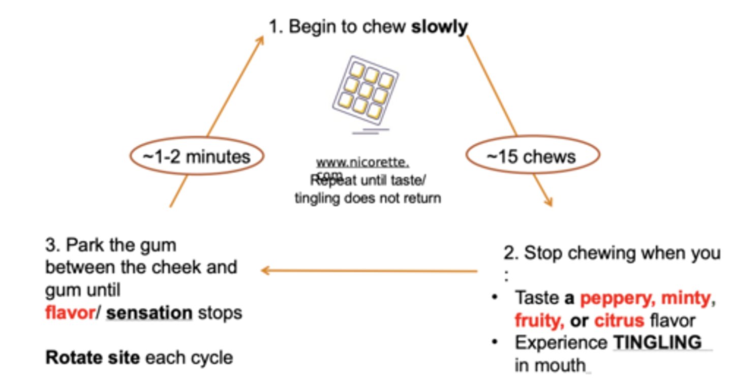 <p>1. Begin to chew slowly</p><p>2. Stop chewing gum when you taste a peppery, minty, fruity, or citrus flavor or experience TINGLING in mouth </p><p>3. Park the gum between the cheek and gum until flavor/sensation stops</p><p>- Rotate site each cycle</p><p>- on average, gum lasts 30 min. </p><p>- for cravings</p>